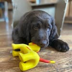 Frank Barget - @frank_barget - Instagram