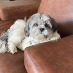 Frank Barrientos Vélez - @frank.barrientosv - Instagram