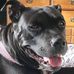 Frank Barrows - Facebook