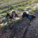 Frank Barth - @barth7935 - Instagram