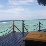 Frank Barth - @frankbarth57334 - Instagram