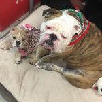 Frank And Fiona Barthel - @fionaandfrank - Instagram