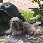 Frank Barthel - @barthelfrank - Instagram