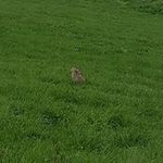 Frank Barthel - @frank.barthel.3388 - Instagram