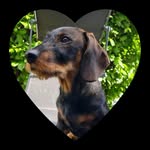 Frank Battenberg - @battenbergfrank - Instagram
