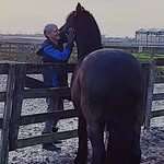 Frank Battes - @battesfrank - Instagram