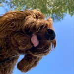 baylor & frank - @baylor_and_frank - Instagram