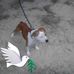 Frankie Beamon - Facebook