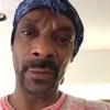 Frank bean - @summerelizabeth17 - TikTok