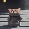 FrankieBeane - @frankiebeane007 - TikTok