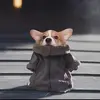 FrankieBeane - @frankiebeane - TikTok