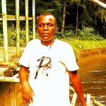 Frank Bee - @frankbee532 - Instagram