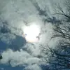 Frank Bee - @frank.bee3 - TikTok