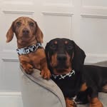 Frank & Bert - @frankandbertsausages - Instagram