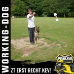 Frank Berten - @frankberten - Instagram