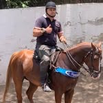 Frank Berto - @bertofrank - Instagram