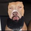Frank Beya - @frankbeya - TikTok