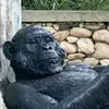 Frank_Bill - @frank_bill - TikTok