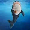 Frank The Blåhaj🦈 - @frank.the.blahaj - TikTok