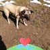 Francis Blain - Facebook