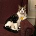 Frank Blain - Facebook