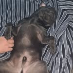 frank blakely - @imfrankblakely - Instagram