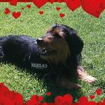 Frank Eisenblätter - @frankeisenblatter - Instagram
