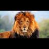 Frank Blear - @frankblear - TikTok