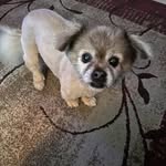 Frank Bledsoe - @bledsoefrank50 - Instagram