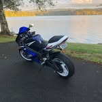 @blevins_frank - Instagram