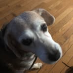 Frank Blevins - Facebook