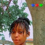 Blissful Frank - @frankblissful - Instagram