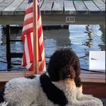 Jeffrey Fogle - @franklin_ripple_blizzard_et_al - Instagram