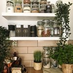 Frank & Blossom Home - @frankandblossomhome - Instagram