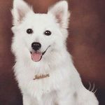 Frank Bob - @frankkileo - Instagram