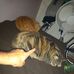 Franck Bobbera - Facebook