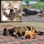 Frank Bodenstein - @frank_bodenstein - Instagram