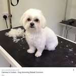 Frank Bogan - @frankb7409 - Instagram