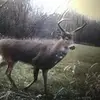 frank.boland74 - @frank.boland74 - TikTok