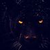 Frank Bolden - Facebook