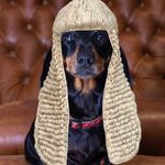 Frank Bond - @frank.b.thesausagedog - Instagram