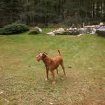 Frank Bonello - @frank.bonello.3 - Instagram