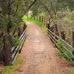 Frank Bonelli Park - Facebook