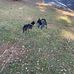 Frank Bonelli Park - Facebook