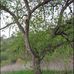 Frank G Bonelli Park - Facebook