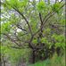 Frank G. Bonelli Regional Park - Facebook