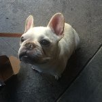 Frank Borin Personal Instagram - @skafoidnyc - Instagram