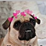 @frank_boring_pugan - Instagram