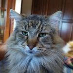 Frank Borman - @borman3363 - Instagram