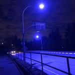 Frank Borrelli - @frankieb3366 - Instagram